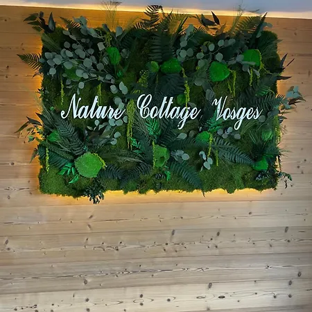 Villa Nature Vosges Le Cerf Anould